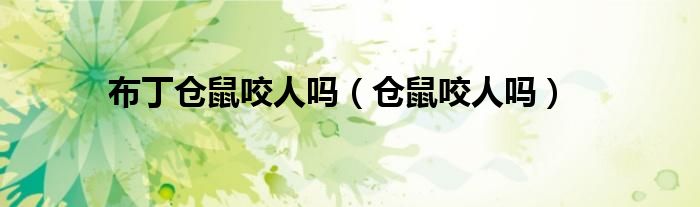 布丁仓鼠咬人吗（仓鼠咬人吗）