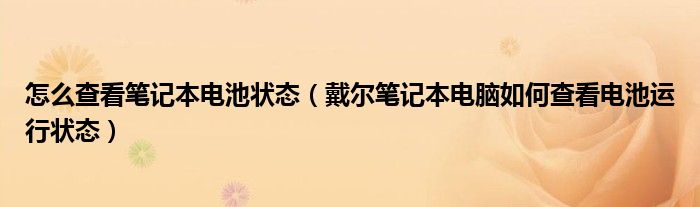 怎么查看笔记本电池状态（戴尔笔记本电脑如何查看电池运行状态）