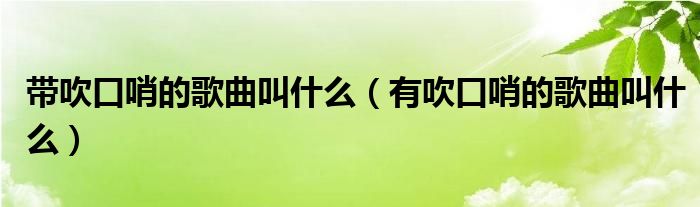 带吹口哨的歌曲叫什么（有吹口哨的歌曲叫什么）