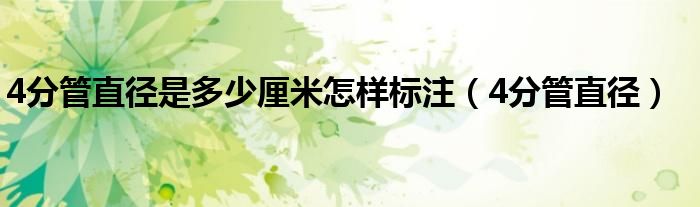4分管直径是多少厘米怎样标注（4分管直径）