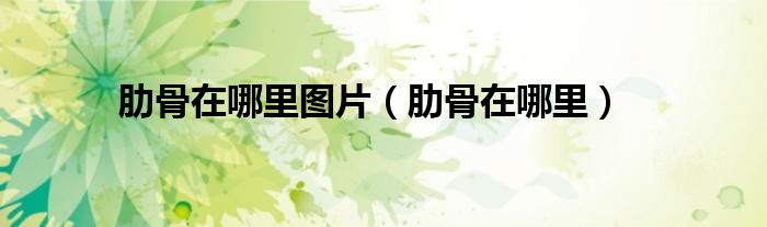 肋骨在哪里图片（肋骨在哪里）