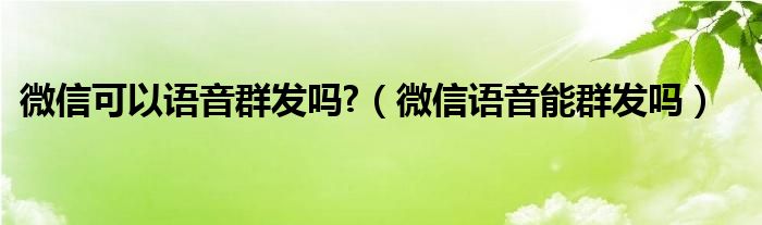 微信可以语音群发吗?（微信语音能群发吗）