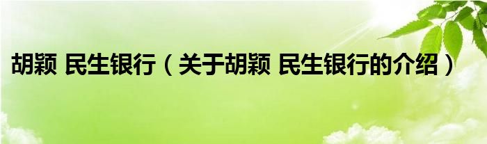 胡颖 民生银行（关于胡颖 民生银行的介绍）