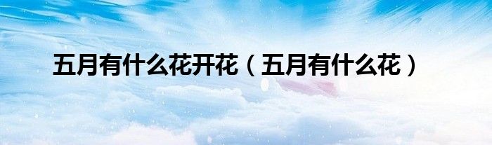 五月有什么花开花（五月有什么花）