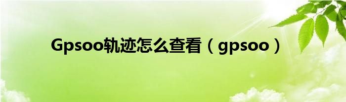 Gpsoo轨迹怎么查看（gpsoo）